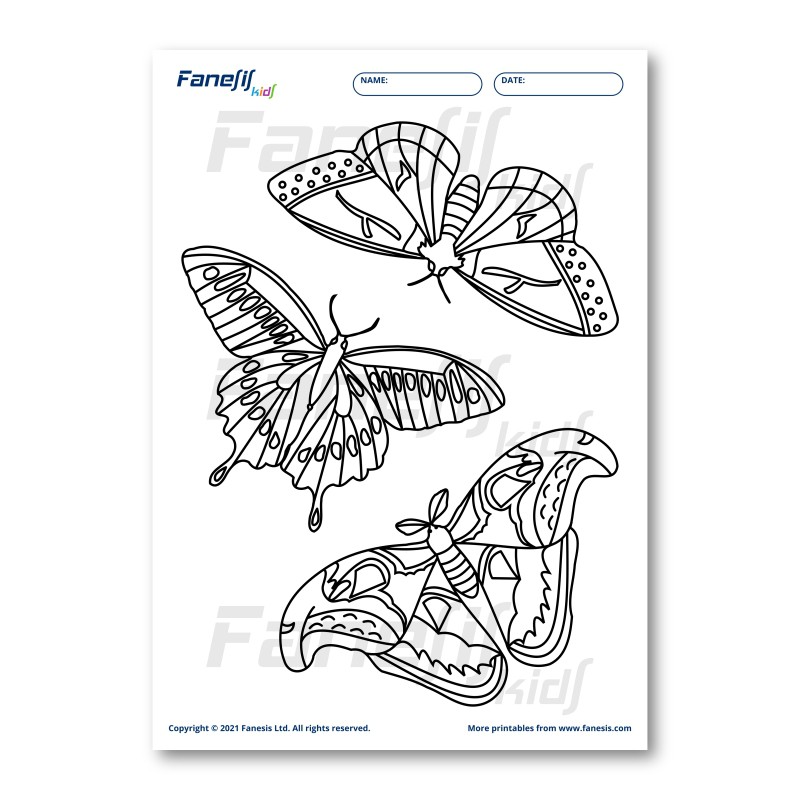 free-printable-coloring-page-flower-fanesis-kids